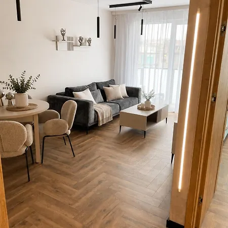 Mieszczanska Residence - Centrum, Free Parking, Ac, Sauna, Gym & Salt Cave 公寓